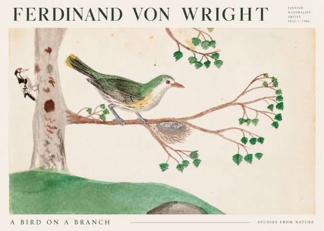 Ferdinand von Wright Green Warbler with Nest No3 - Plakat