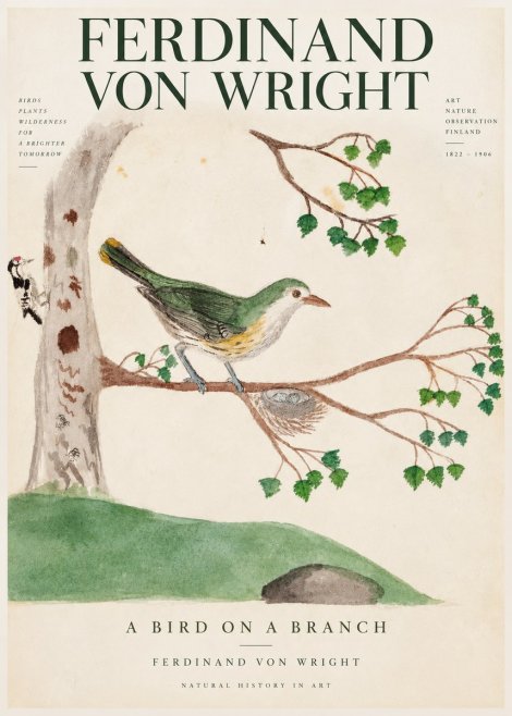 Ferdinand von Wright Green Warbler with Nest No4 - Plakat