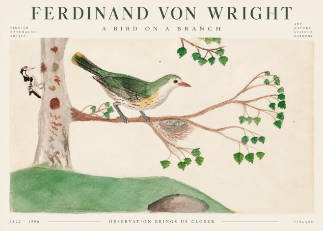 Ferdinand von Wright Green Warbler with Nest No5 - Plakat