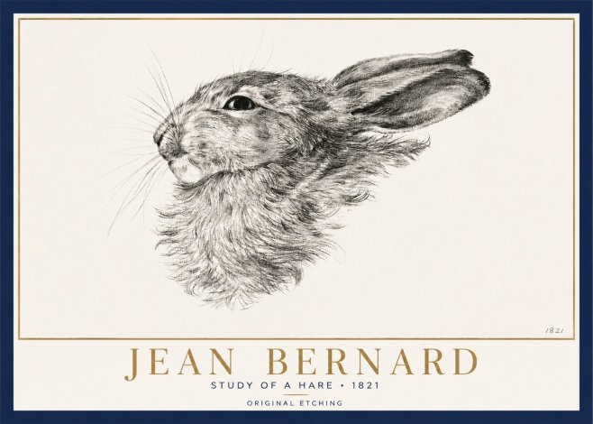 Jean Bernard Study of a Hare No3 - Plakat