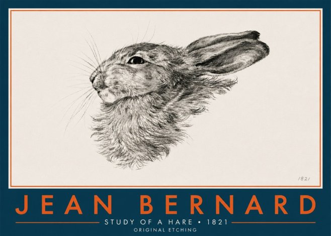 Jean Bernard Study of a Hare No6 - Plakat
