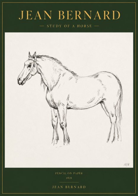 Jean Bernard Study of a Horse XVII No3 - Plakat