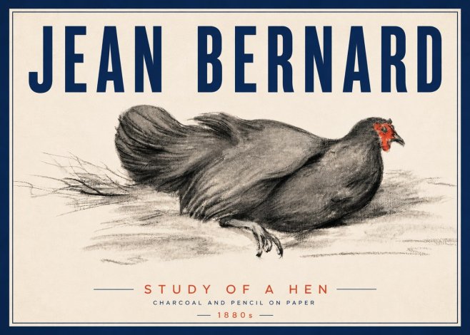 Jean Bernard Study of a Hen No5 - Plakat