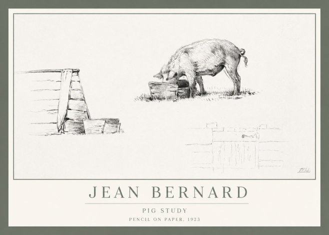 Jean Bernard Pig Study No1 - Plakat