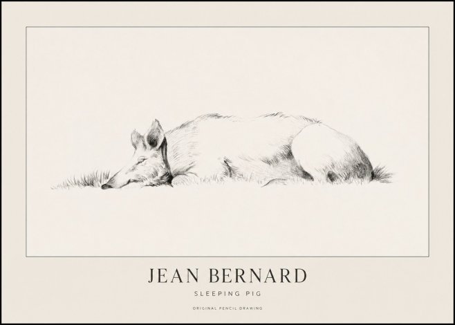 Jean Bernard Sleeping Pig II No1 - Plakat