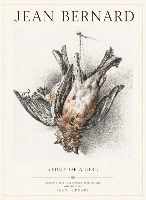 Jean Bernard Study of a Bird IV No3 - Plakat