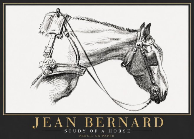 Jean Bernard Study of a Horse XVIII No6 - Plakat