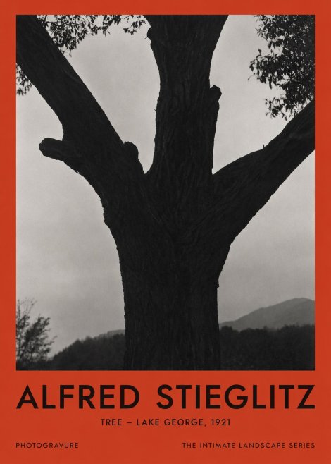 Alfred Stieglitz Tree - Lake George, 1921 No2 - Plakat