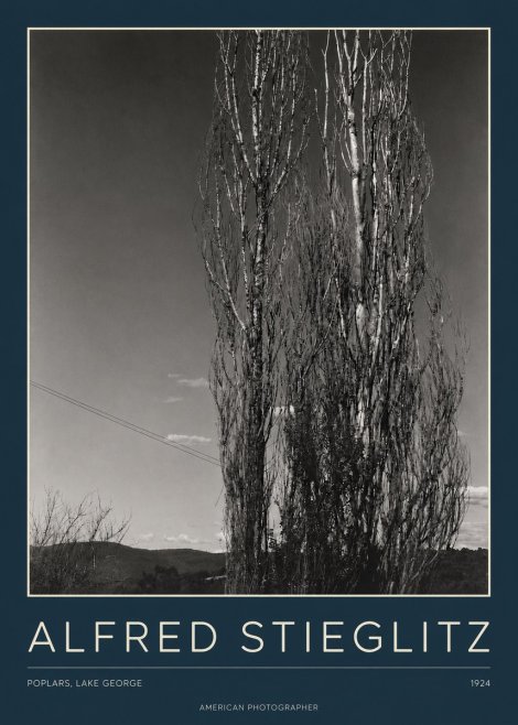 Alfred Stieglitz Trees - Lake George, 1921 No4 - Plakat