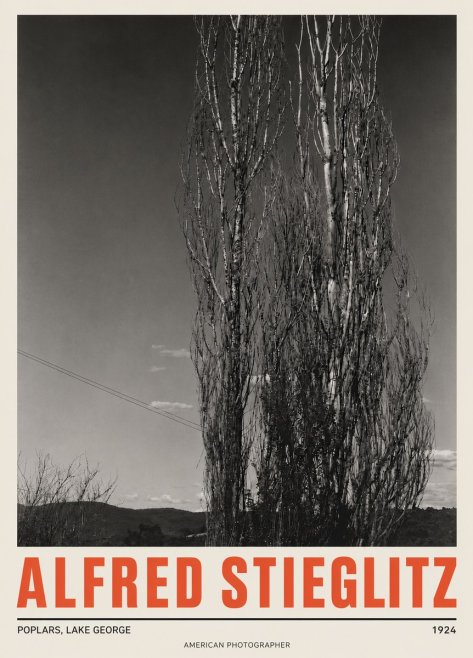 Alfred Stieglitz Trees - Lake George, 1921 No5 - Plakat