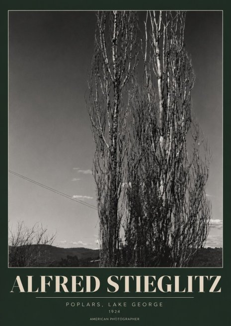 Alfred Stieglitz Trees - Lake George, 1921 No6 - Plakat