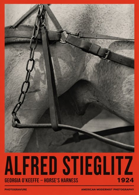 Alfred Stieglitz The Steerage I No3 - Plakat