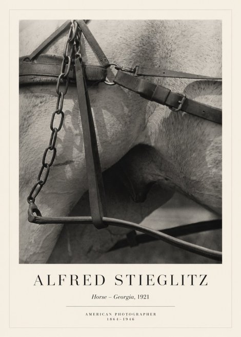 Alfred Stieglitz The Steerage I No6 - Plakat