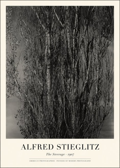 Alfred Stieglitz The Steerage II No1 - Plakat