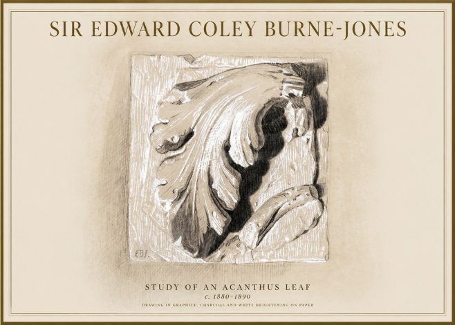 Edward Burne-Jones Study of an Acanthus Leaf No1 - Plakat