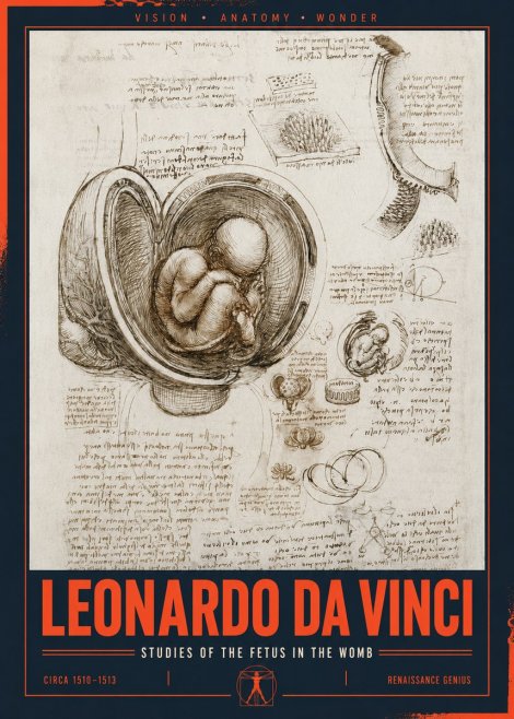 Leonardo da Vinci Studies of the Fetus in the Womb No2 - Plakat
