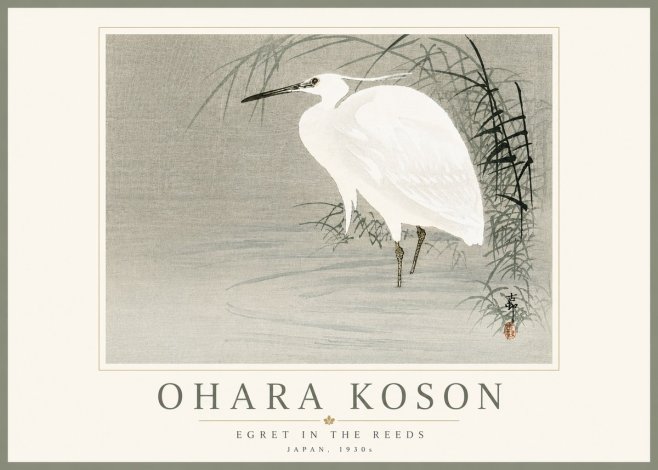 Ohara Koson Egret in the Reeds No5 - Plakat
