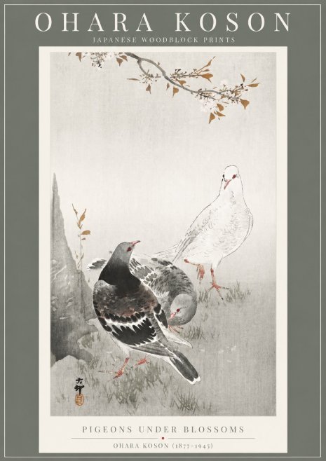 Ohara Koson Pigeons Under Blossoms No2 - Plakat