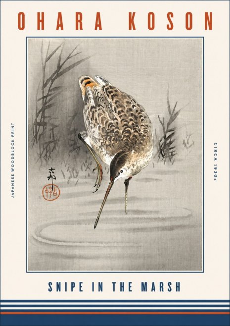 Ohara Koson Snipe in the Marsh No3 - Plakat