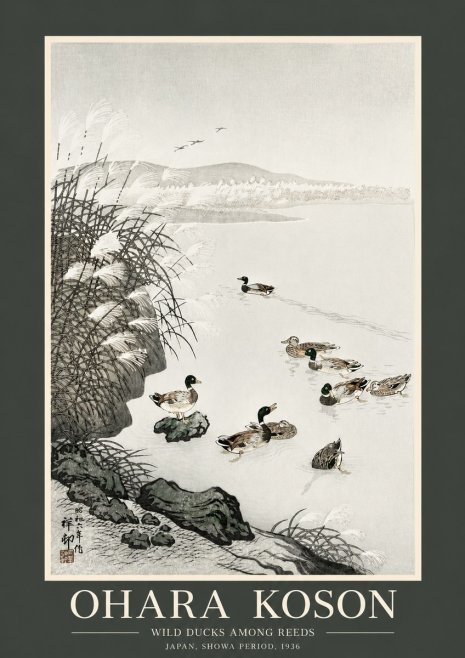 Ohara Koson Wild Ducks Among Reeds No2 - Plakat