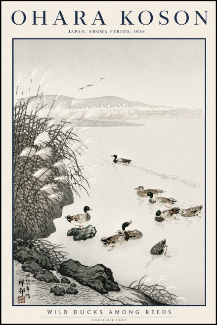 Ohara Koson Wild Ducks Among Reeds No3 - Plakat