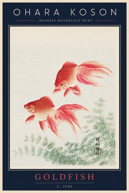 Ohara Koson Goldfish No5 - Plakat