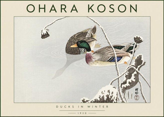 Ohara Koson Ducks in Winter No4 - Plakat