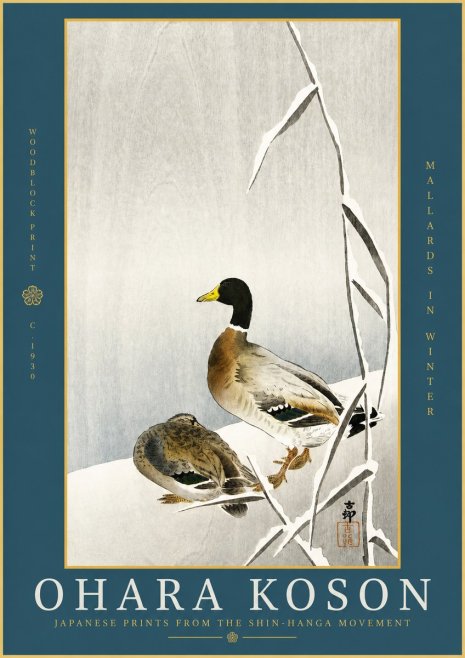 Ohara Koson Mallards in Winter No2 - Plakat
