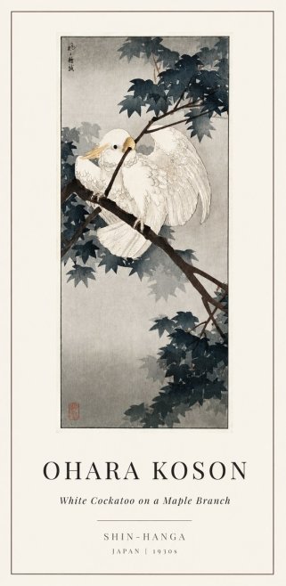 Ohara Koson White Cockatoo on a Maple Branch No1 - Plakat