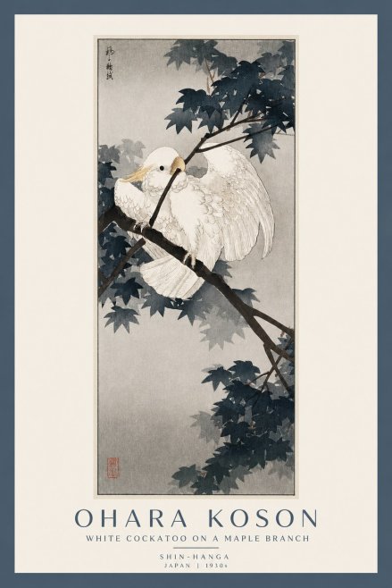 Ohara Koson White Cockatoo on a Maple Branch No2 - Plakat