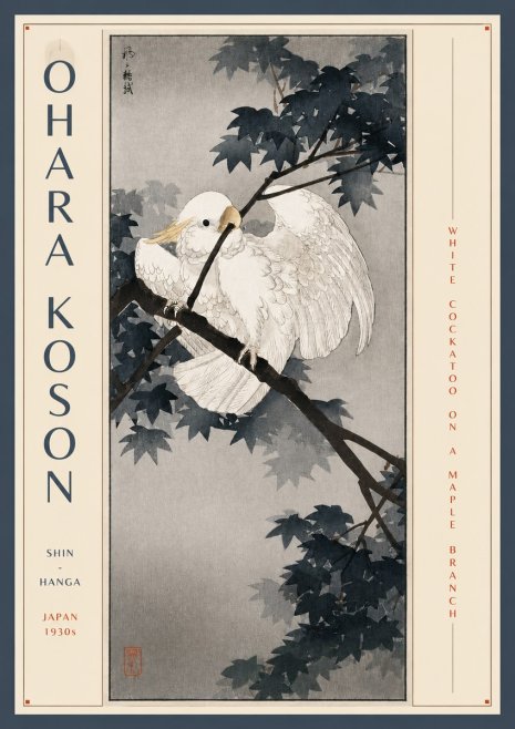 Ohara Koson White Cockatoo on a Maple Branch No3 - Plakat