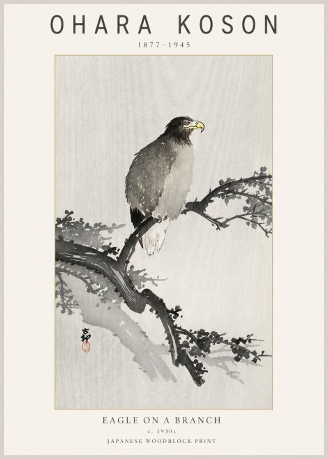 Ohara Koson Eagle on a Branch No2 - Plakat