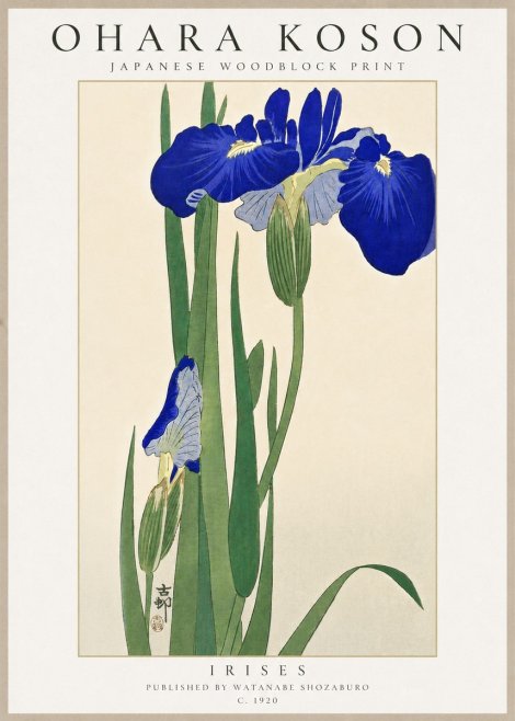 Ohara Koson Irises No6 - Plakat