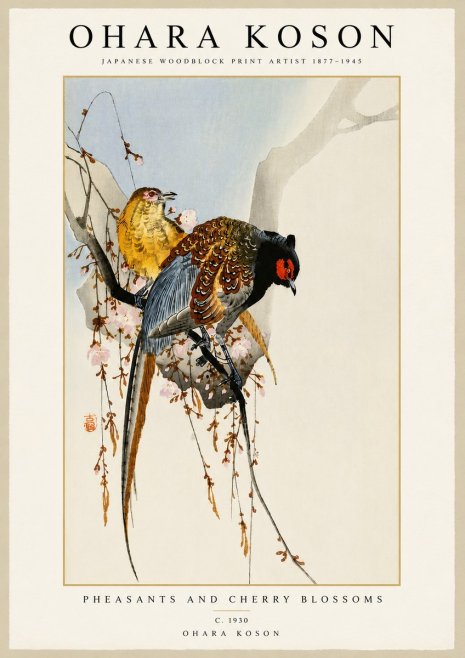 Ohara Koson Pheasants and Cherry Blossoms No5 - Plakat