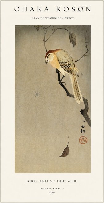 Ohara Koson Bird and Spider Web I No1 - Plakat