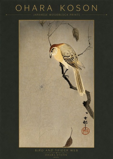 Ohara Koson Bird and Spider Web I No2 - Plakat