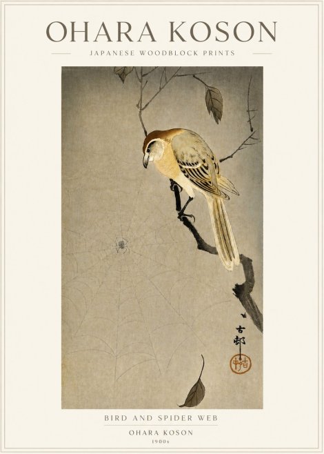 Ohara Koson Bird and Spider Web No3 - Plakat