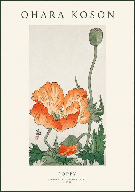 Ohara Koson Poppy No1 - Plakat
