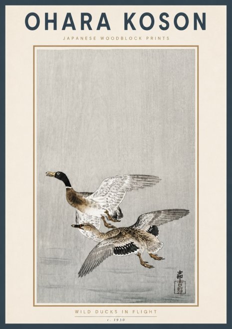 Ohara Koson Wild Ducks in Flight No4 - Plakat