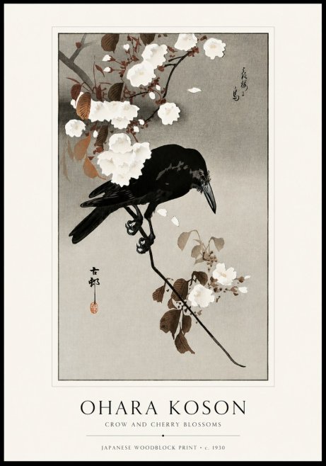 Ohara Koson Crow and Cherry Blossoms No1 - Plakat