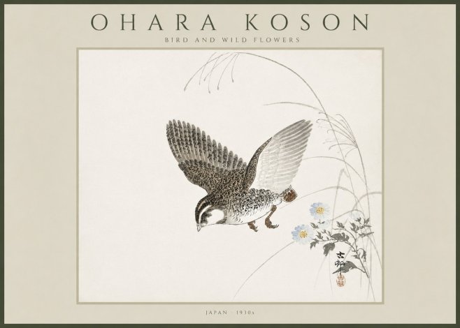 Ohara Koson Bird and Wild Flowers No4 - Plakat