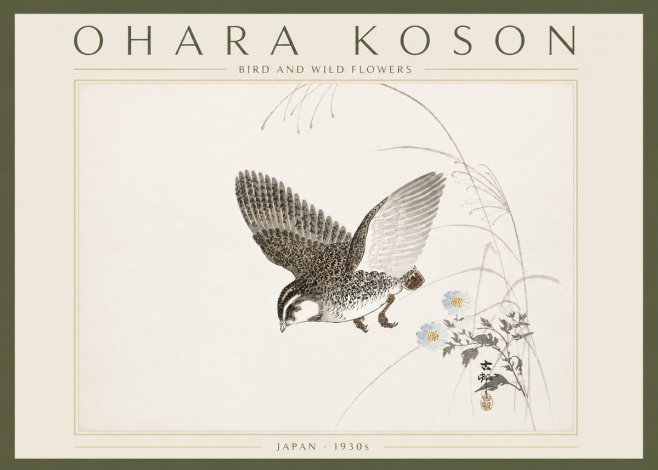 Ohara Koson Bird and Wild Flowers No6 - Plakat