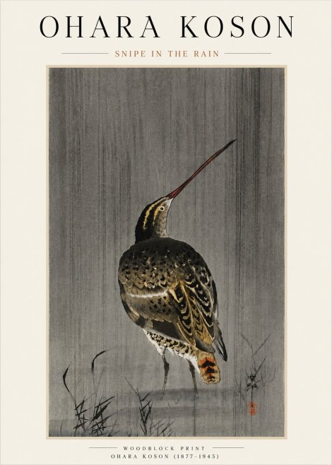 Ohara Koson Snipe in the Rain No4 - Plakat