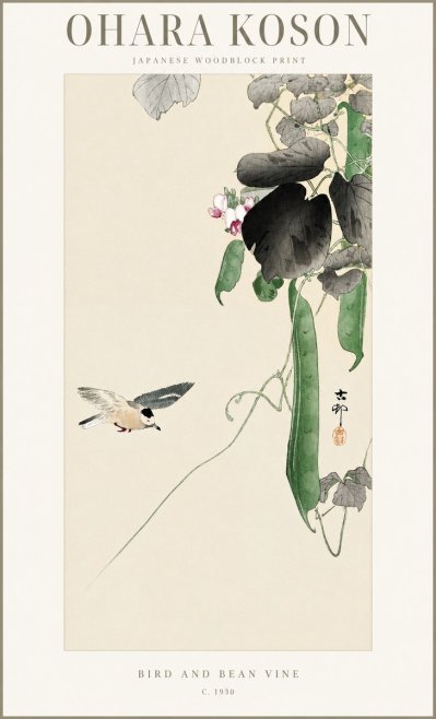 Ohara Koson Bird and Bean Vine No1 - Plakat