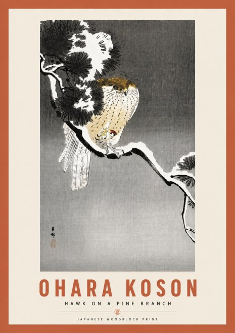 Ohara Koson Hawk on a Pine Branch No3 - Plakat