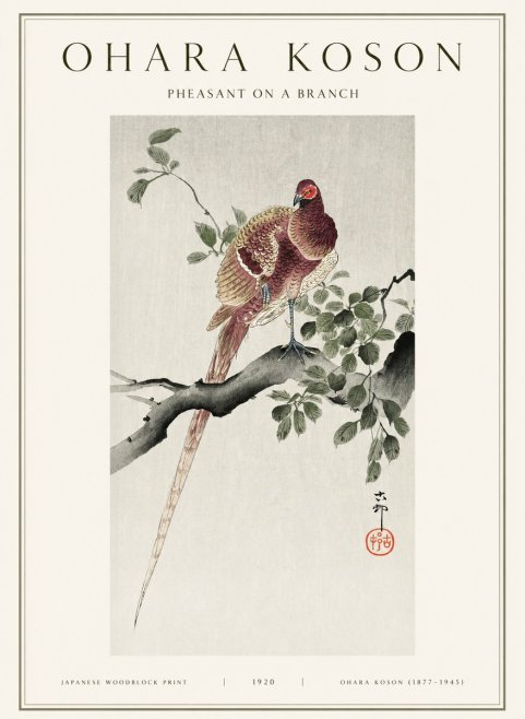 Ohara Koson Pheasant on a Branch No1 - Plakat