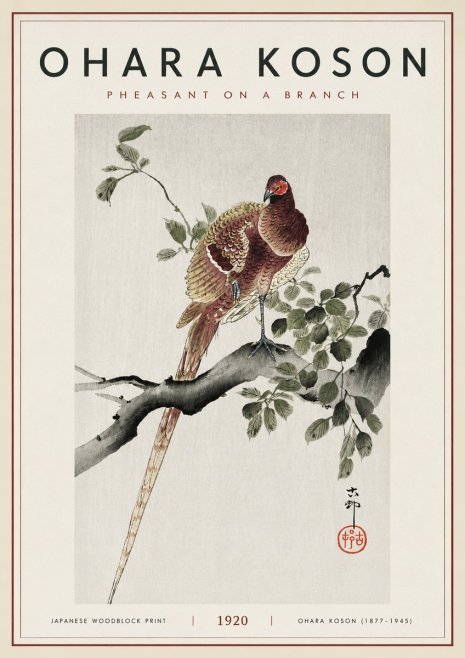 Ohara Koson Pheasant on a Branch No6 - Plakat