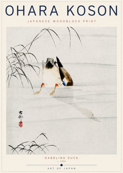 Ohara Koson Dabbling Duck No6 - Plakat