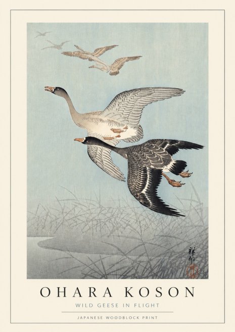 Ohara Koson Wild Geese in Flight No3 - Plakat