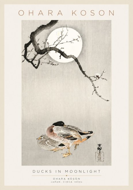 Ohara Koson Ducks in Moonlight No3 - Plakat